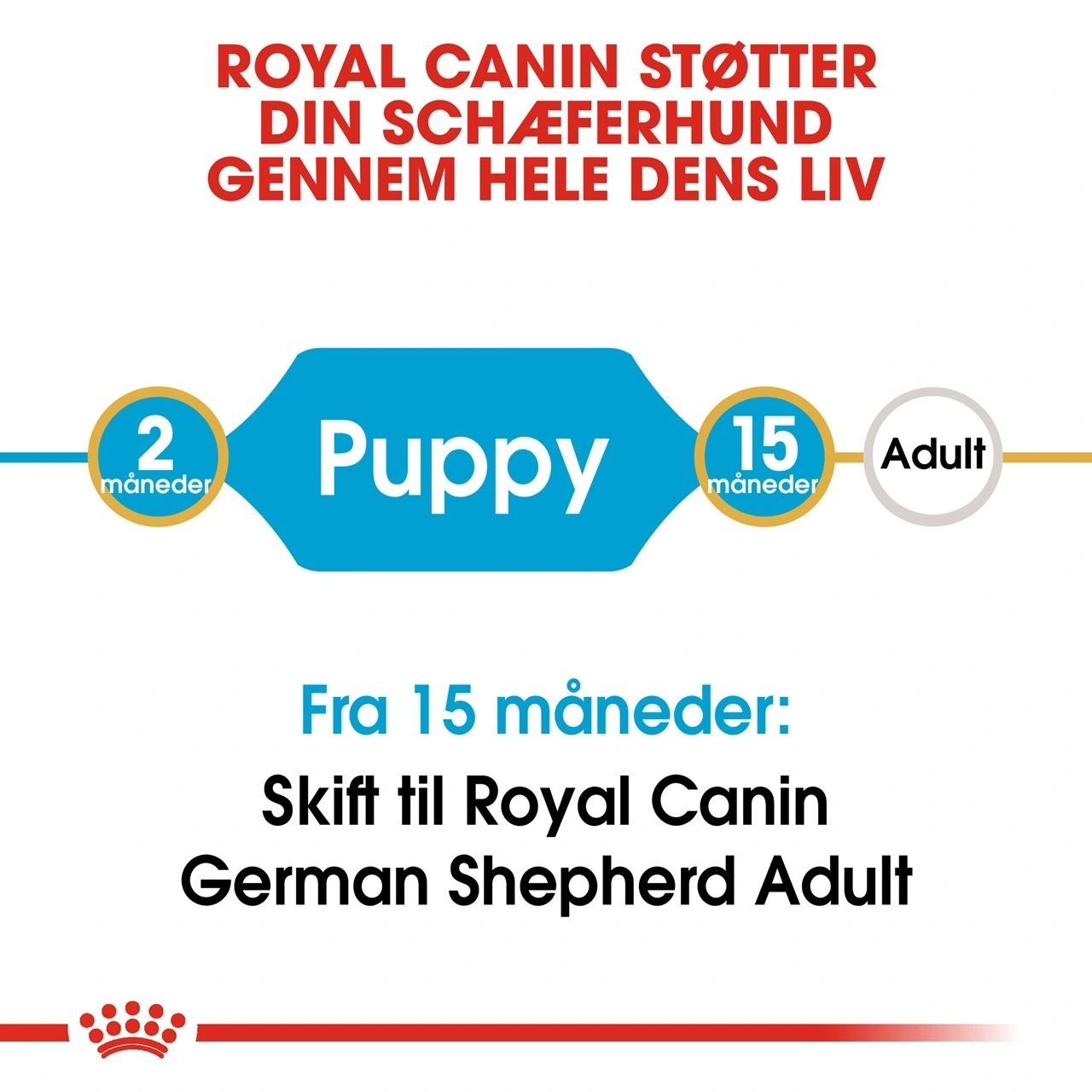 Royal Canin German Shepherd Puppy 12 kg - tørfoder til hvalpe